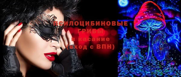 спайс Няндома